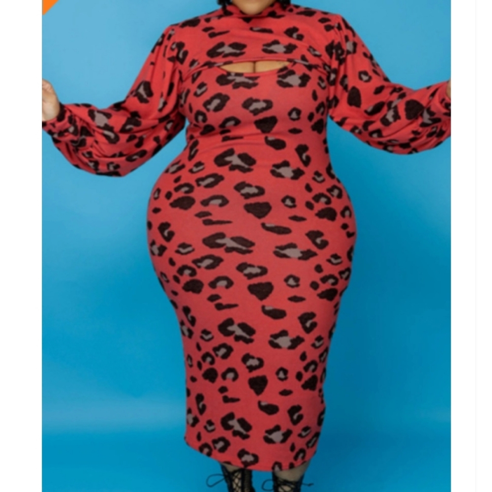 Red leopard print 2 piece dress and shoulder top